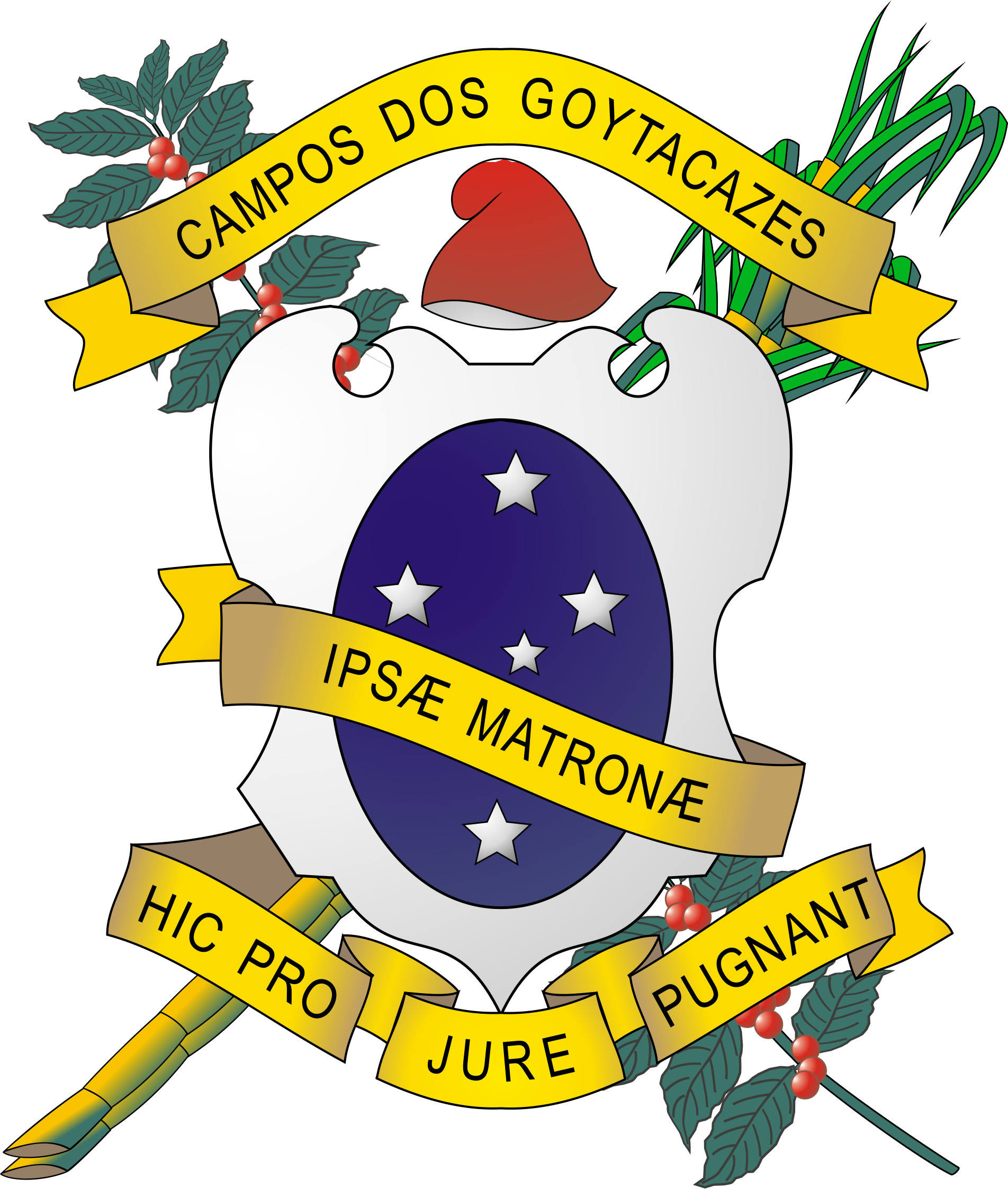 Braz&atilde;o Oficial de Campos
