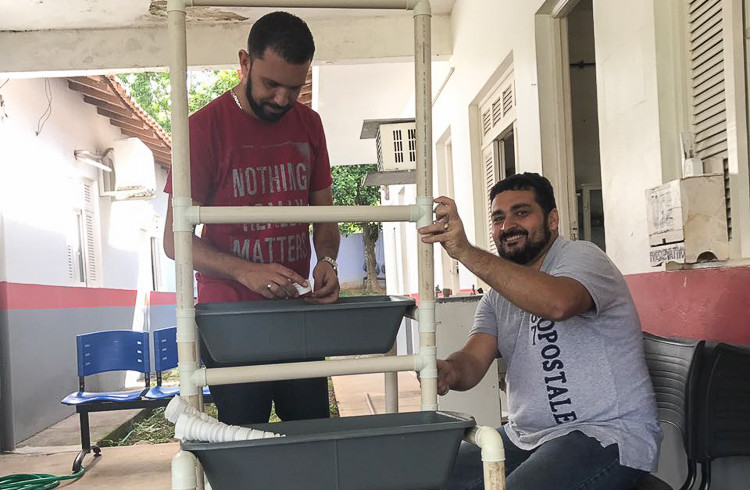  (Foto: Divulgação)