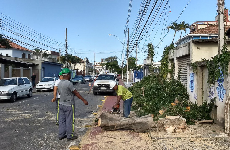  (Foto: Divulgação)