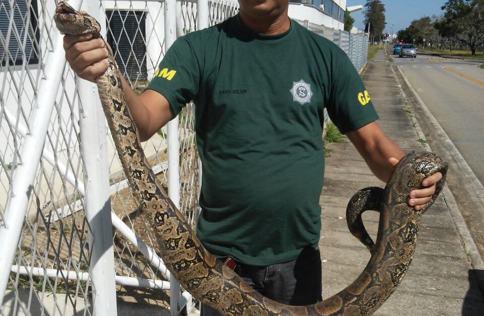  (Foto: Divulgação)