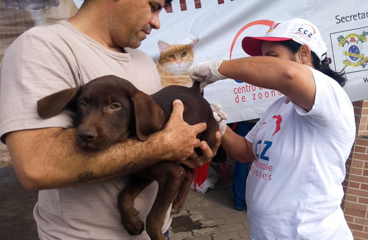  (Foto: Divulgação)