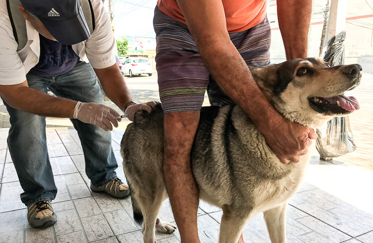  (Foto: Luis Macapá)