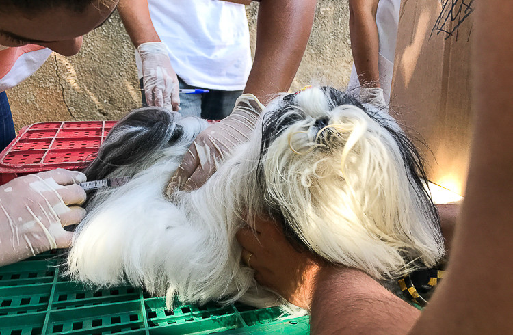  (Foto: Luís Macapá/Arquivo)