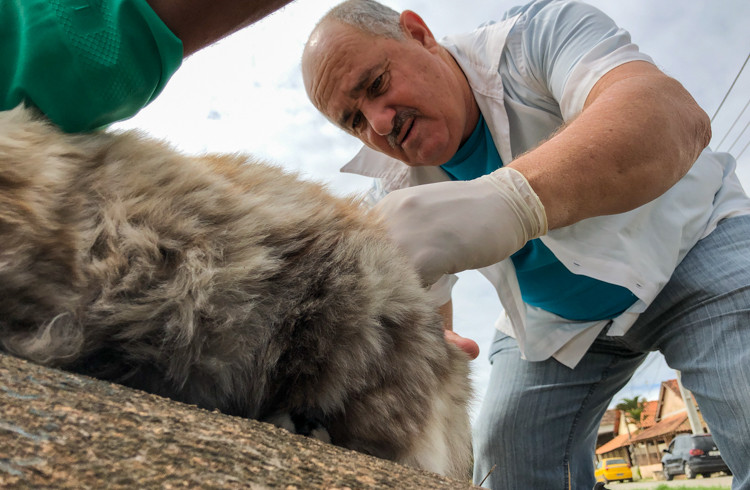  (Foto: Arquivo/Luís Macapá)