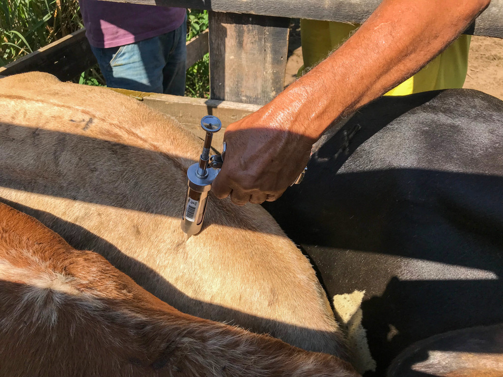  (Foto: Luís Macapá)