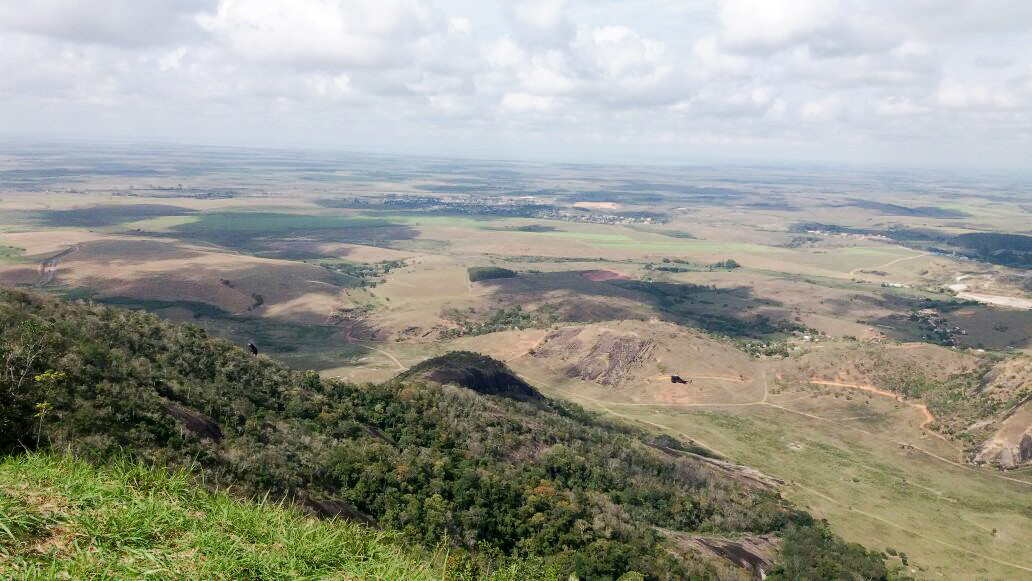  (Foto: Divulgação)