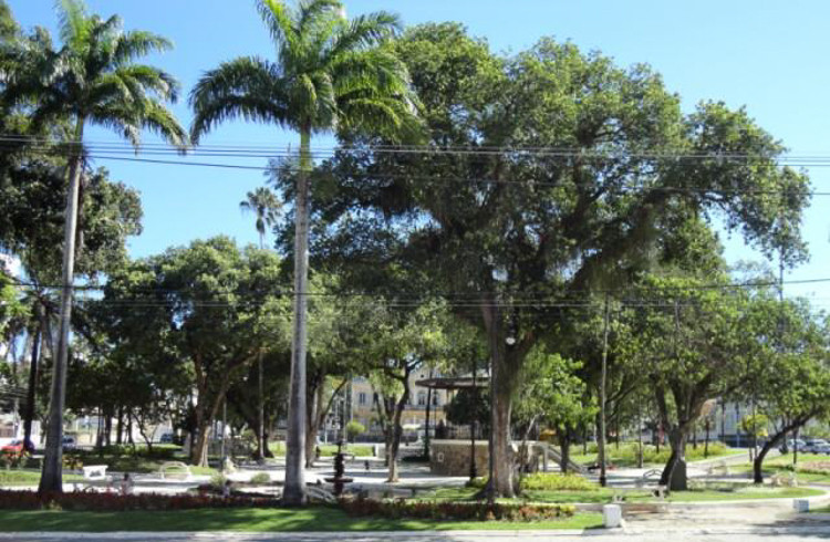  (Foto: Arquivo)
