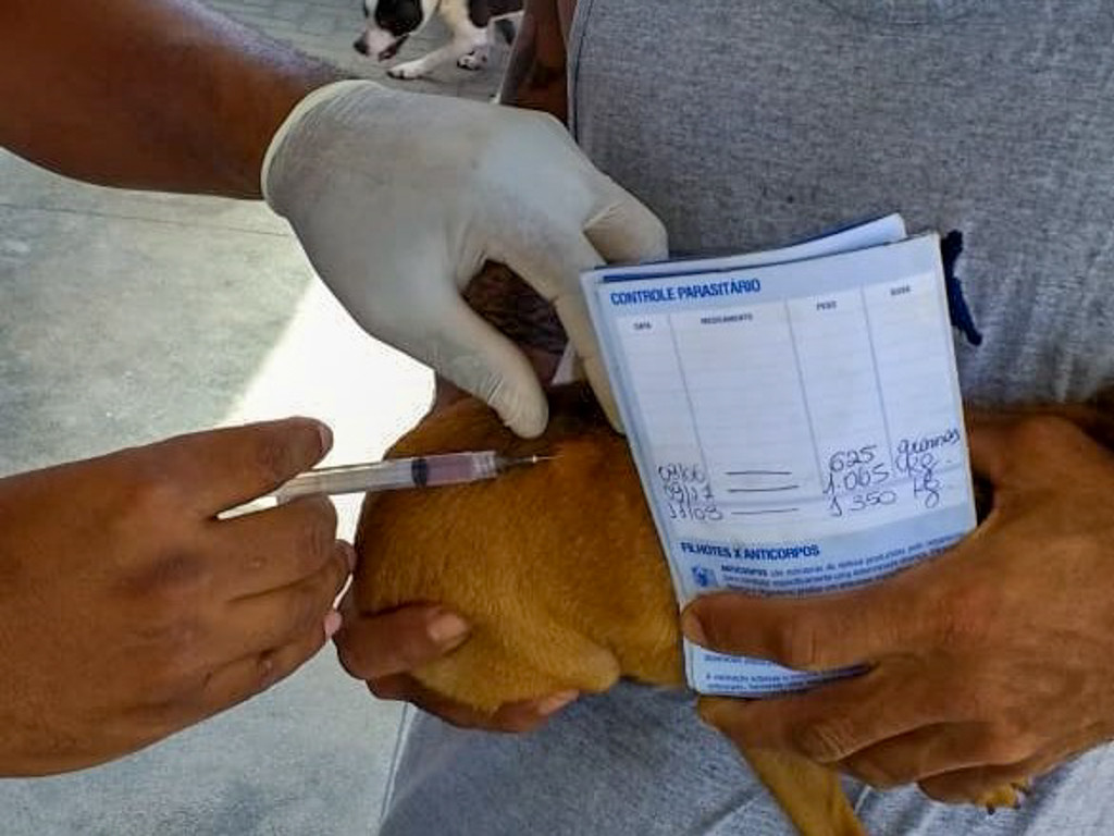  (Foto: Divulgação)