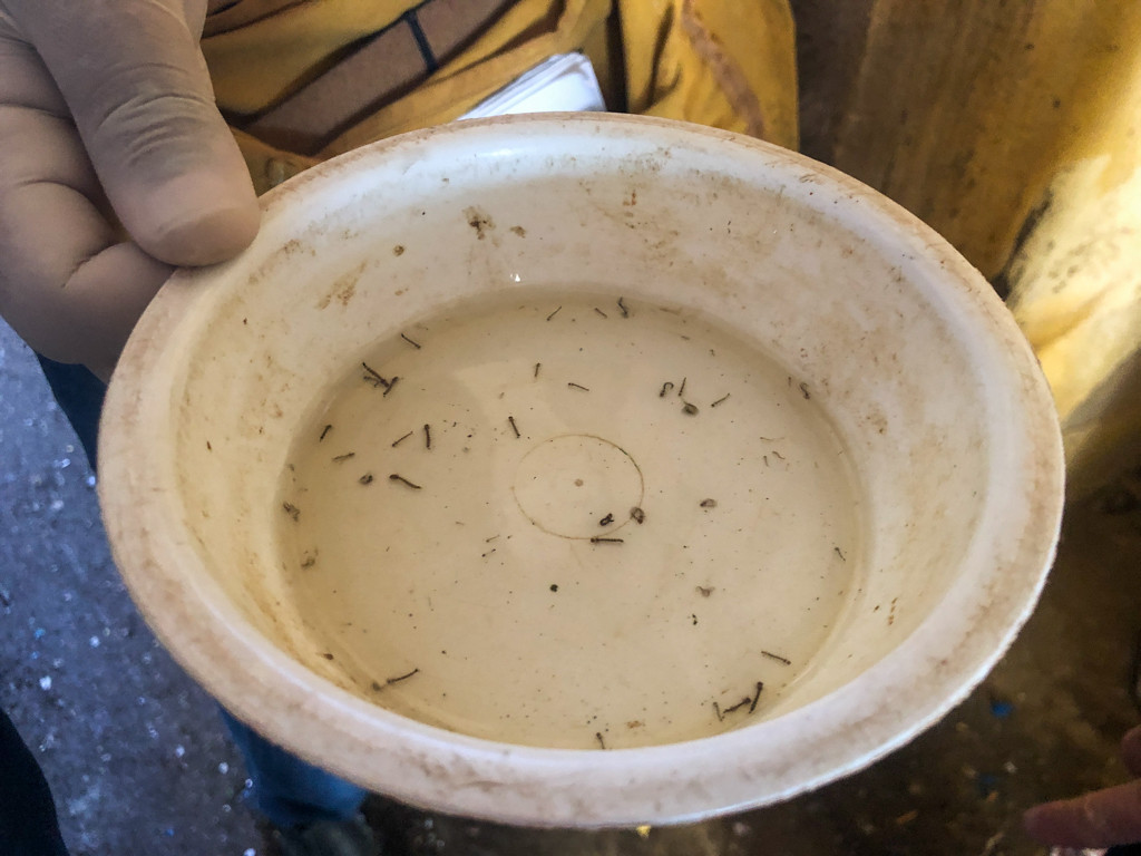  (Foto: Tarcísio Nascimento)