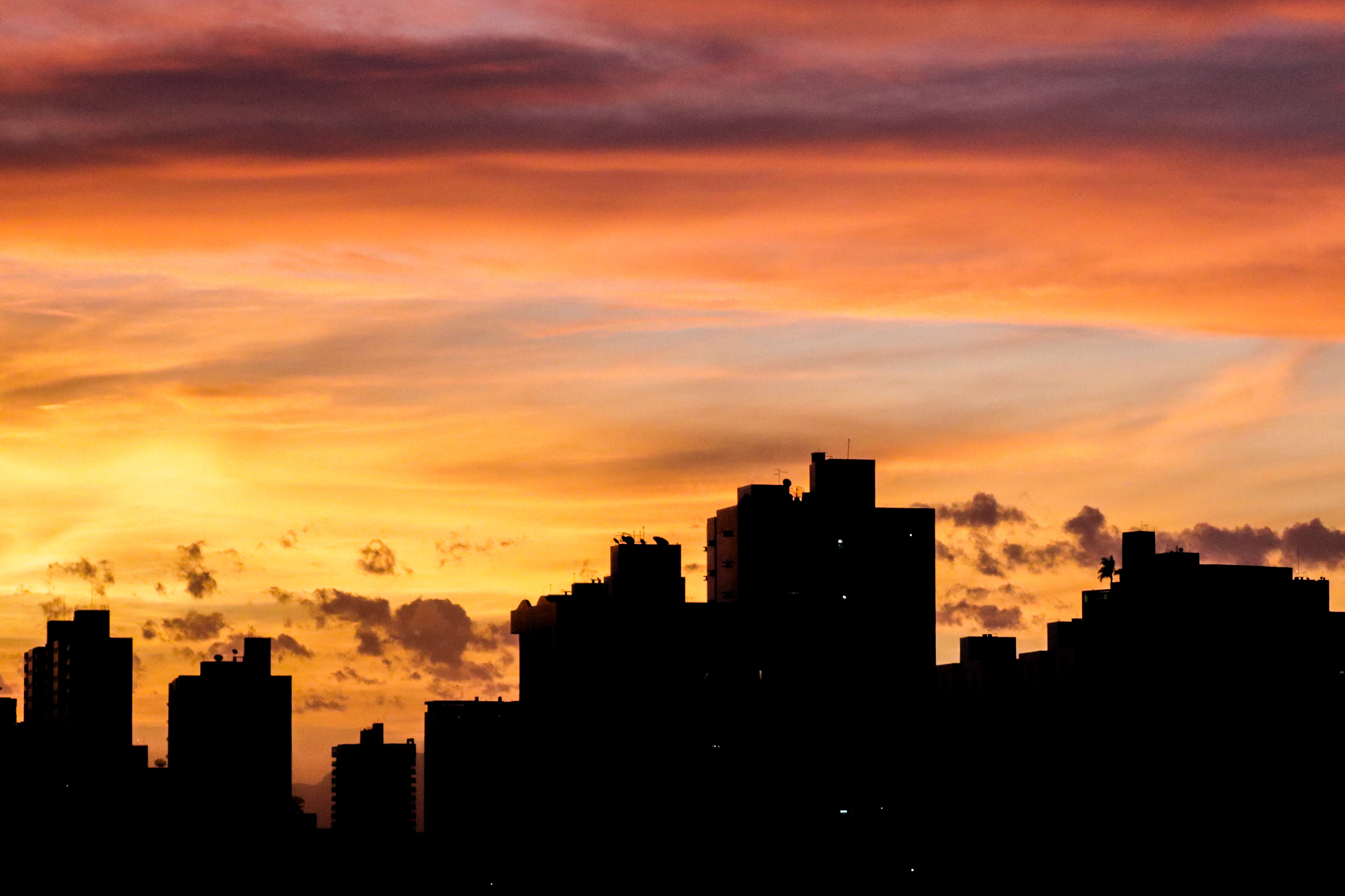  (Foto: Tarcísio Nascimento)