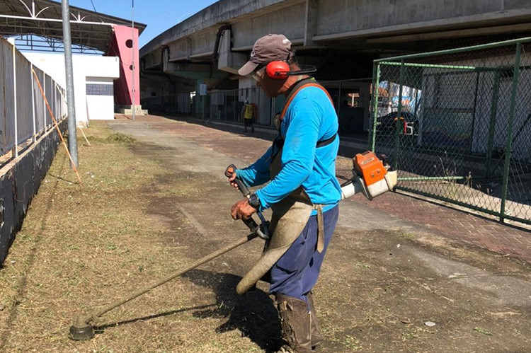  (Foto: Divulgação)