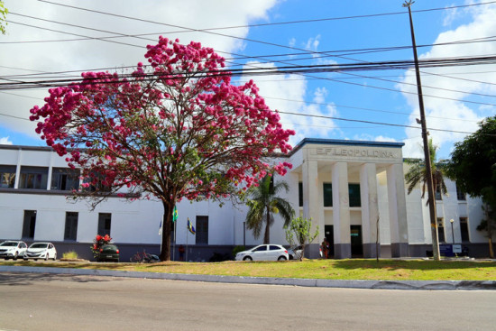 Prefeitura simplifica processo de contratação de funeral gratuito durante  pandemia