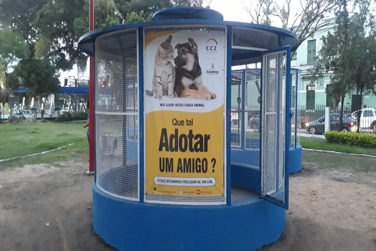  (Foto: Divulgação / CCZ)