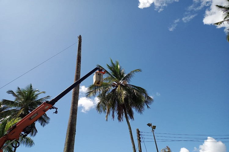  (Foto: Divulgação / Defesa Civil)