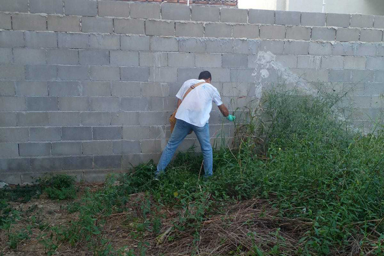  (Foto: Divulgação / Secretaria de Saúde)