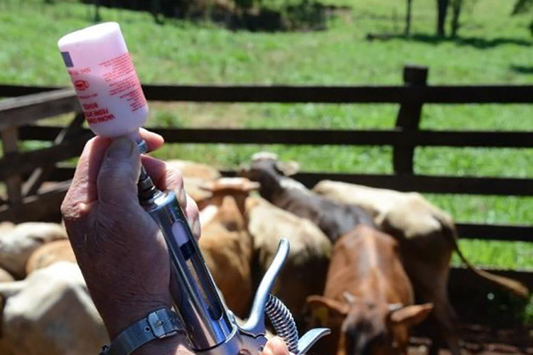  (Foto: Divulgação / Secretaria de Agricultura)