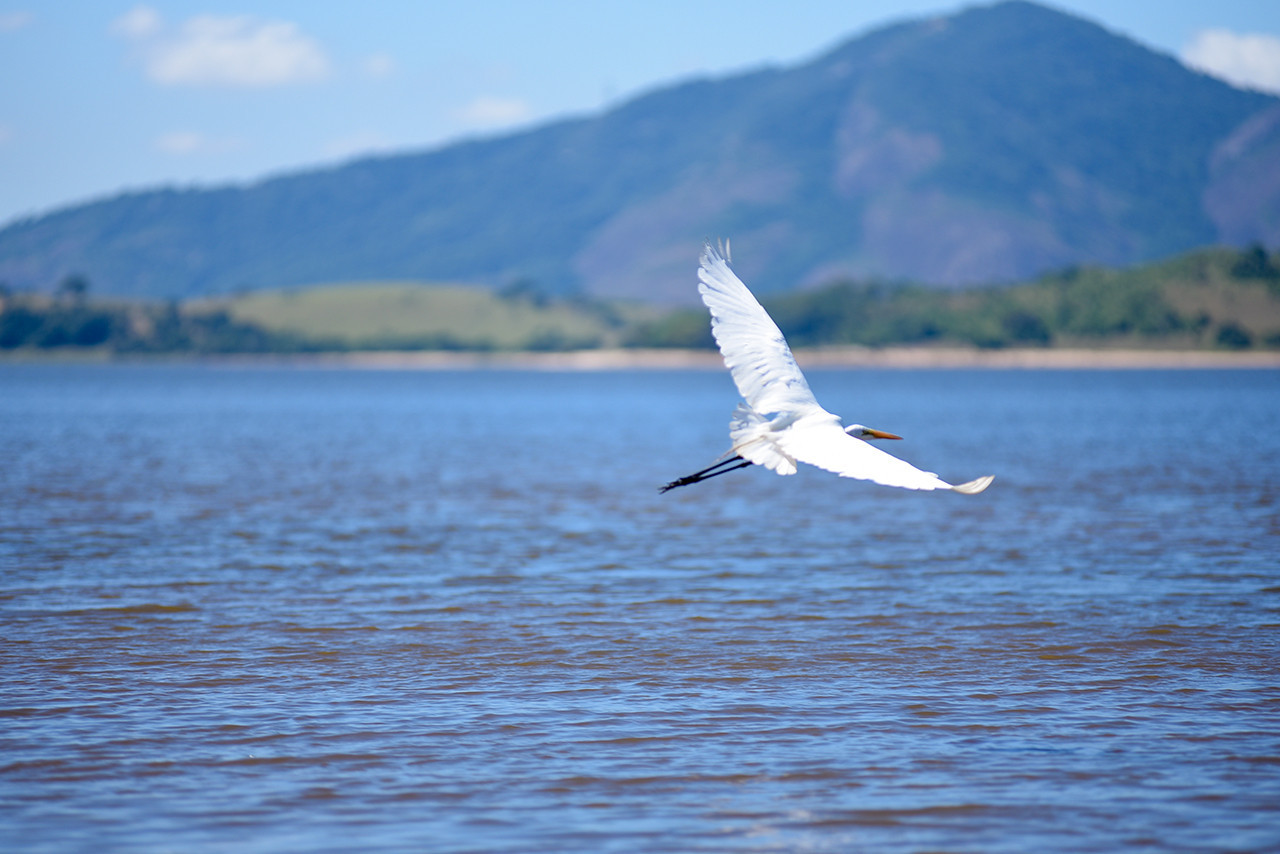  (Foto: César Ferreira)