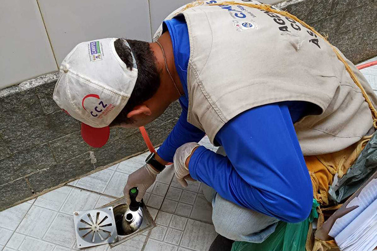  (Foto: Divulgação / CCZ Campos)