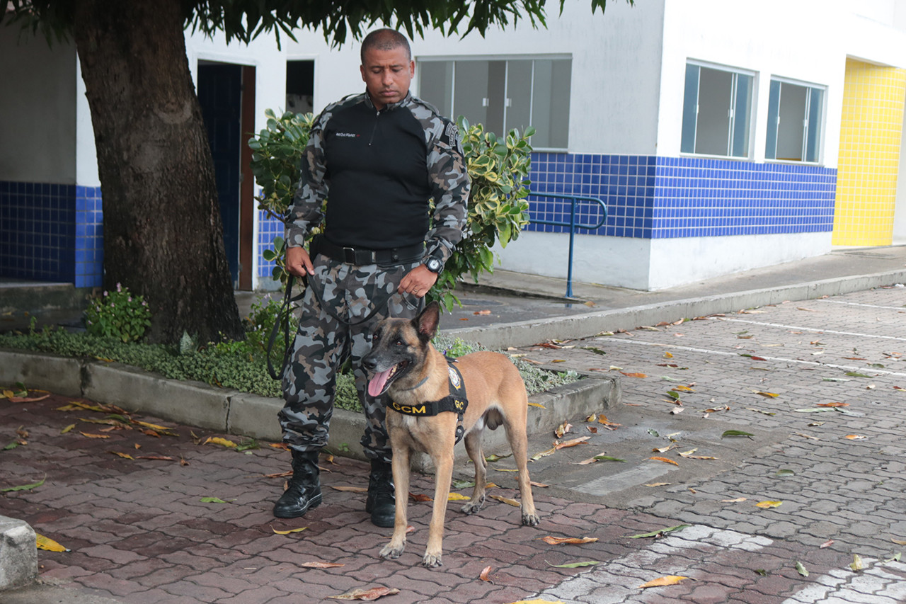  (Foto: Michelle Richa / Divulgação)