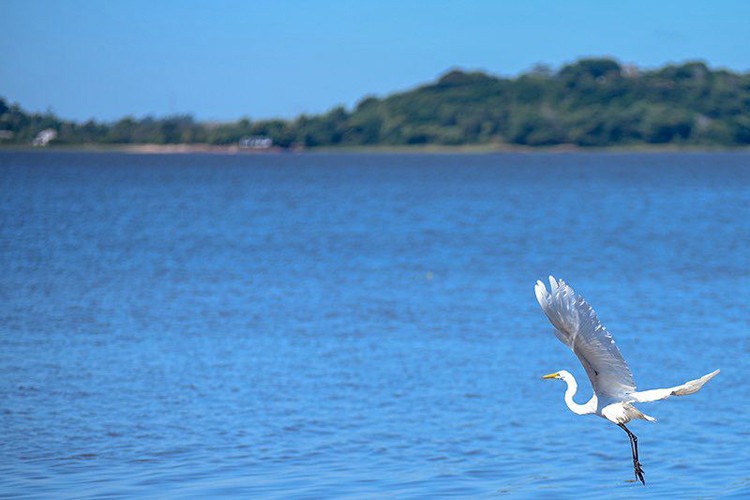  (Foto: César Ferreira)