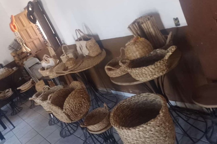  (Foto: Secretaria de Qualificação / Divulgação)