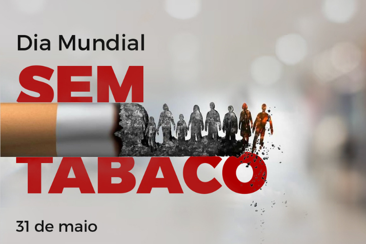  (Foto: Vitor Marques / Arte)