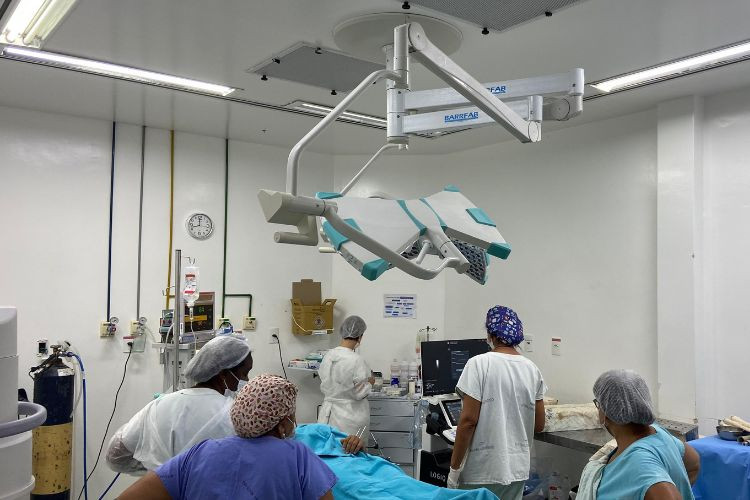  (Foto: Isabella Corrêa / Divulgação)