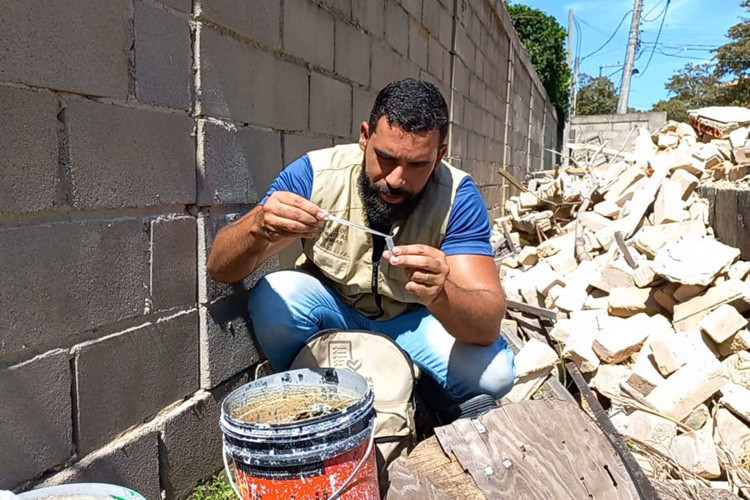  (Foto: CCZ / Divulgação)