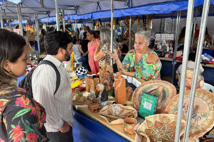  (Foto: Secretaria de Desenvolvimento Econômico / Divulgação)