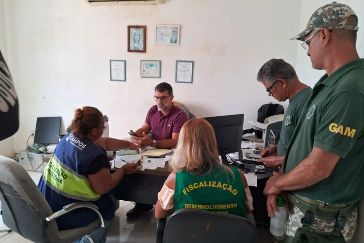  (Foto: Secretaria de Ordem Pública / Divulgação)
