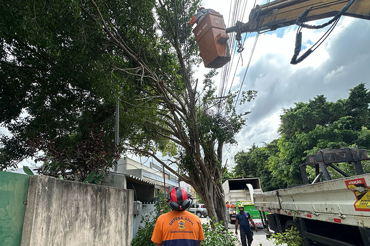  (Foto: Defesa Civil / Divulgação)