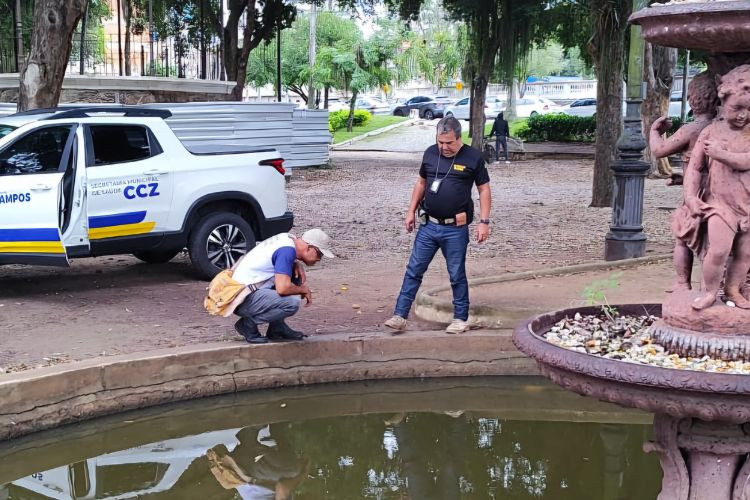  (Foto: Luciano Souza / Divulgação)