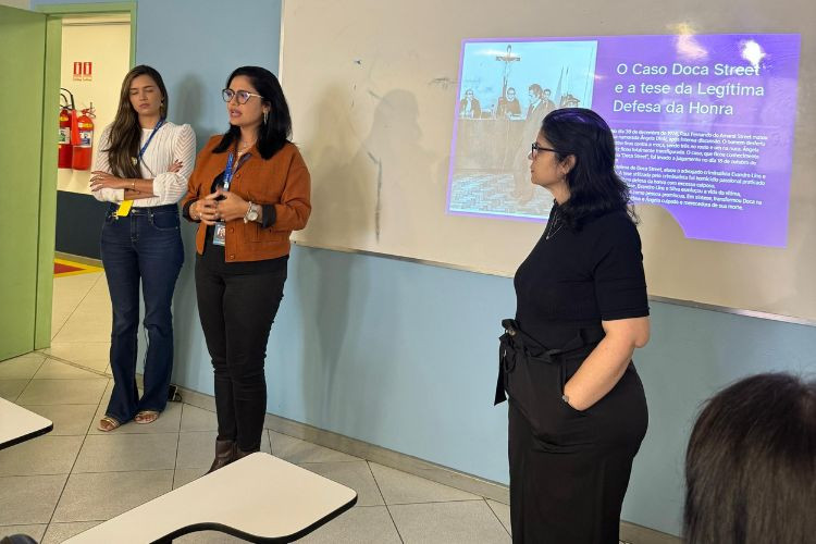  (Foto: Subsecretaria de Direitos da Mulher / Divulgação)