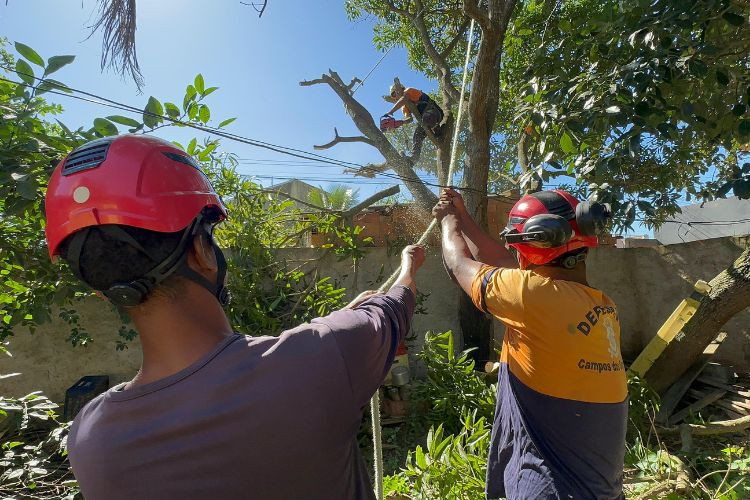  (Foto: Defesa Civil / Divulgação)