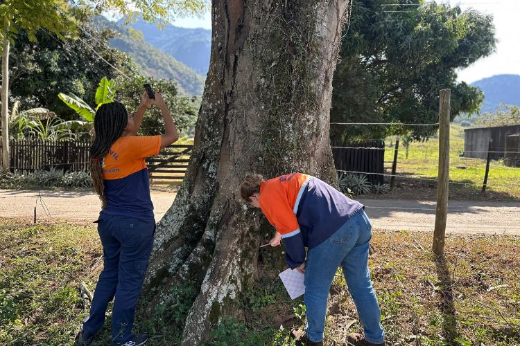  (Foto: Lucas Pavone / Divulgação)