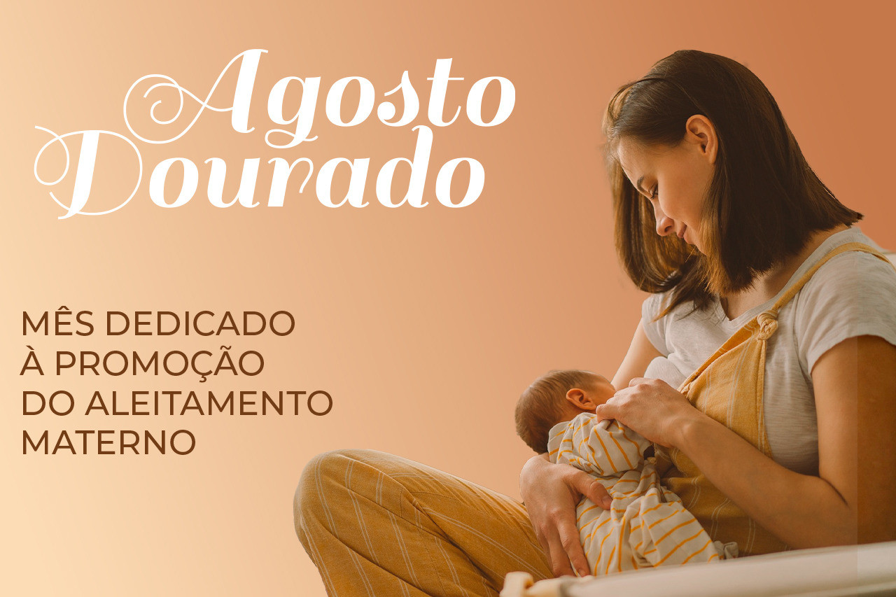  (Foto: Vitor Marques / Arte)