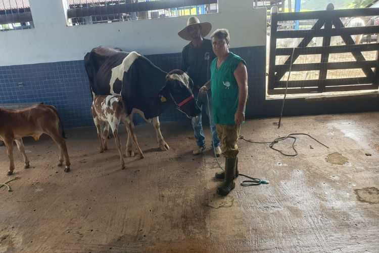  (Foto: Semapi / Divulgação)