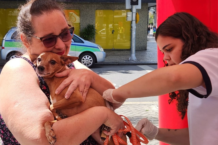  (Foto: Kelly Maria / Divulgação)