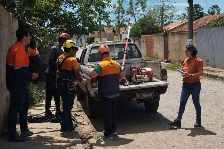  (Foto: Divulgação)