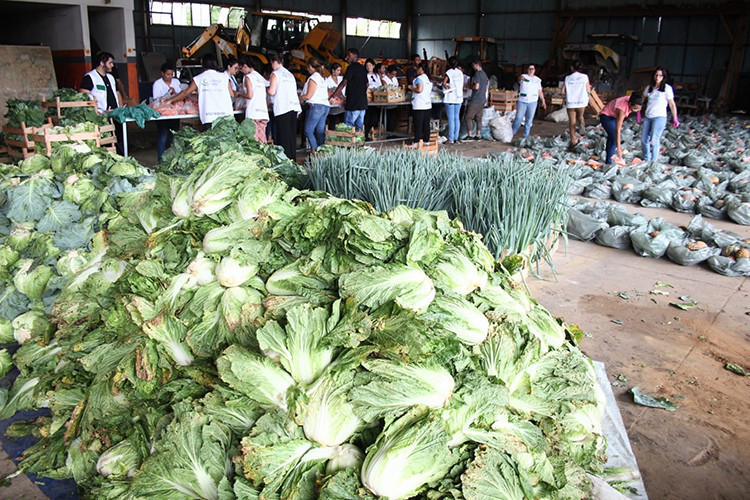  (Foto: Rodrigo Silveira)