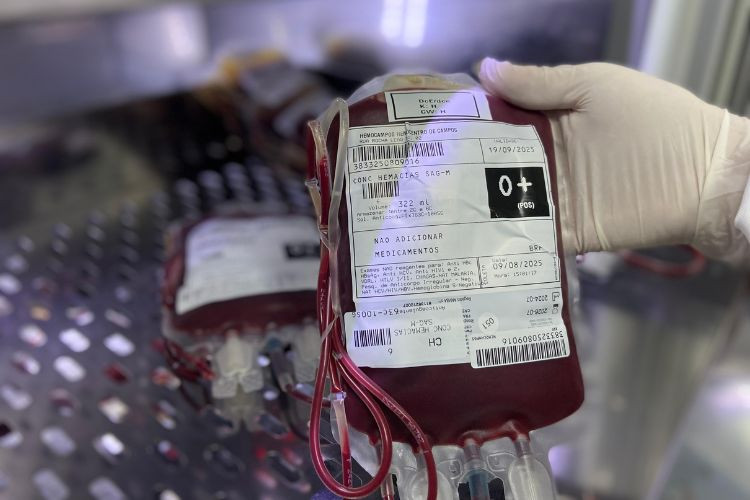  (Foto: Isabella Corrêa / Divulgação)