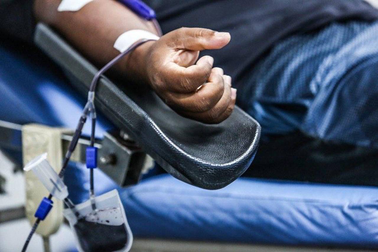  (Foto: Isabella Corrêa / Divulgação)