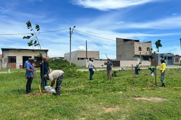  (Foto: Semmas / Divulgação)