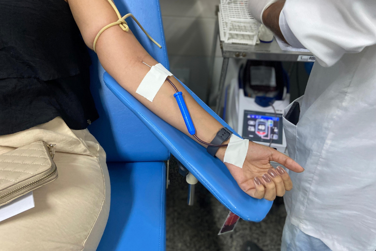  (Foto: Isabella Corrêa/Divulgação)