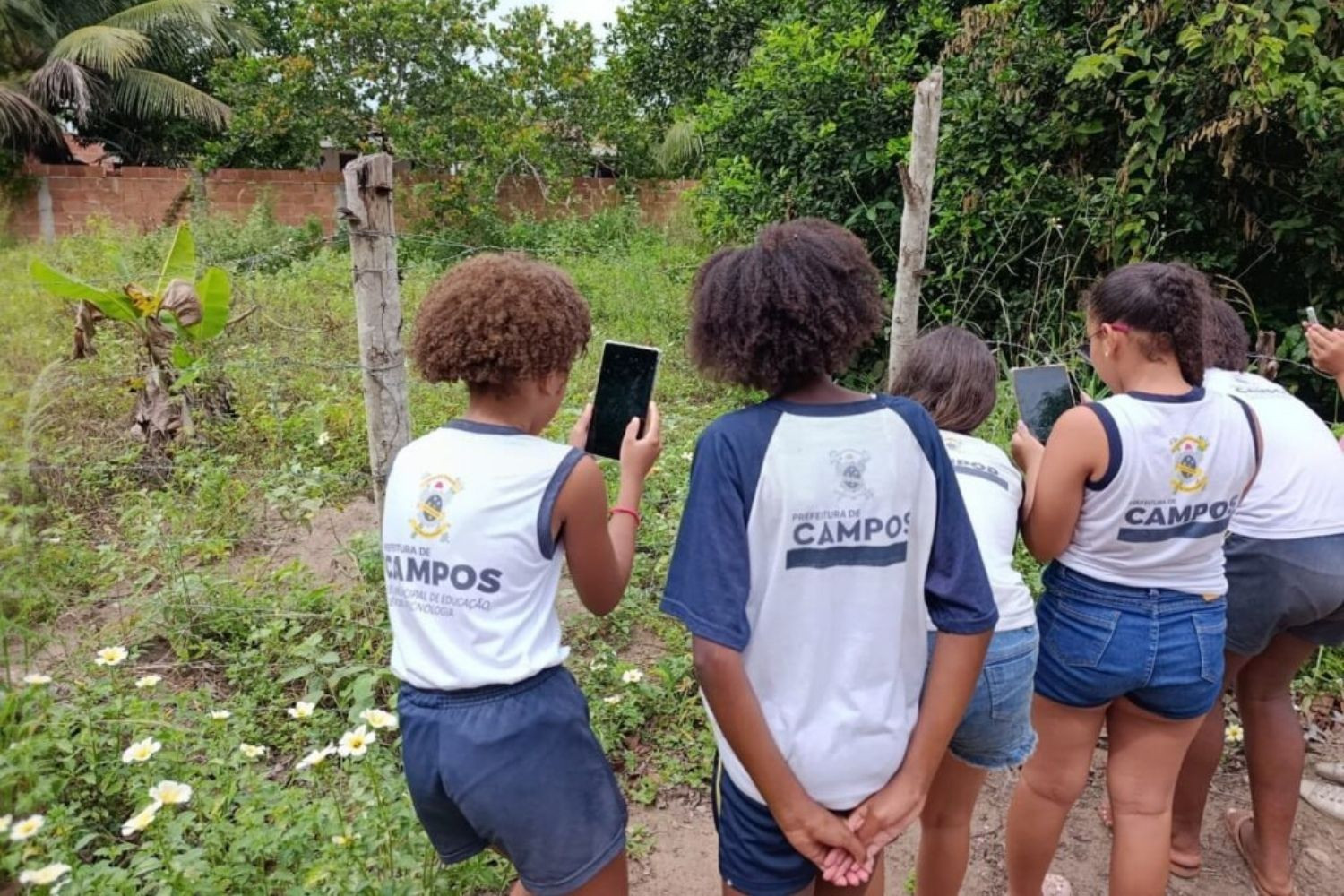  (Foto: Divulgação)