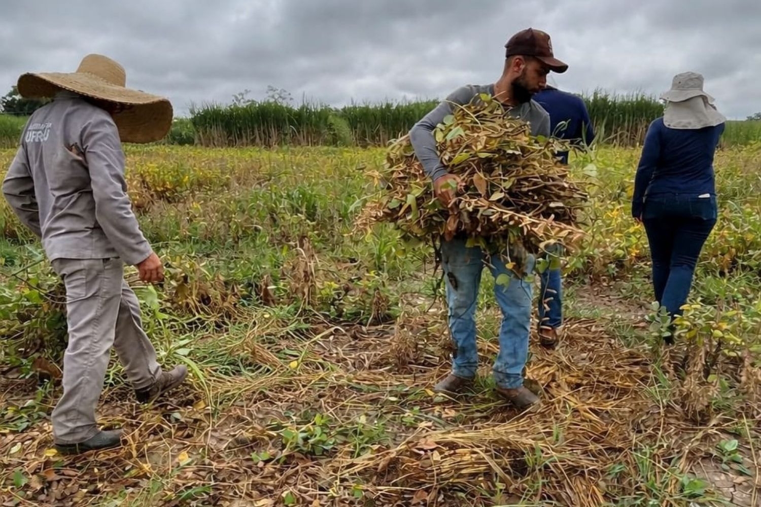  (Foto: Divulgação)