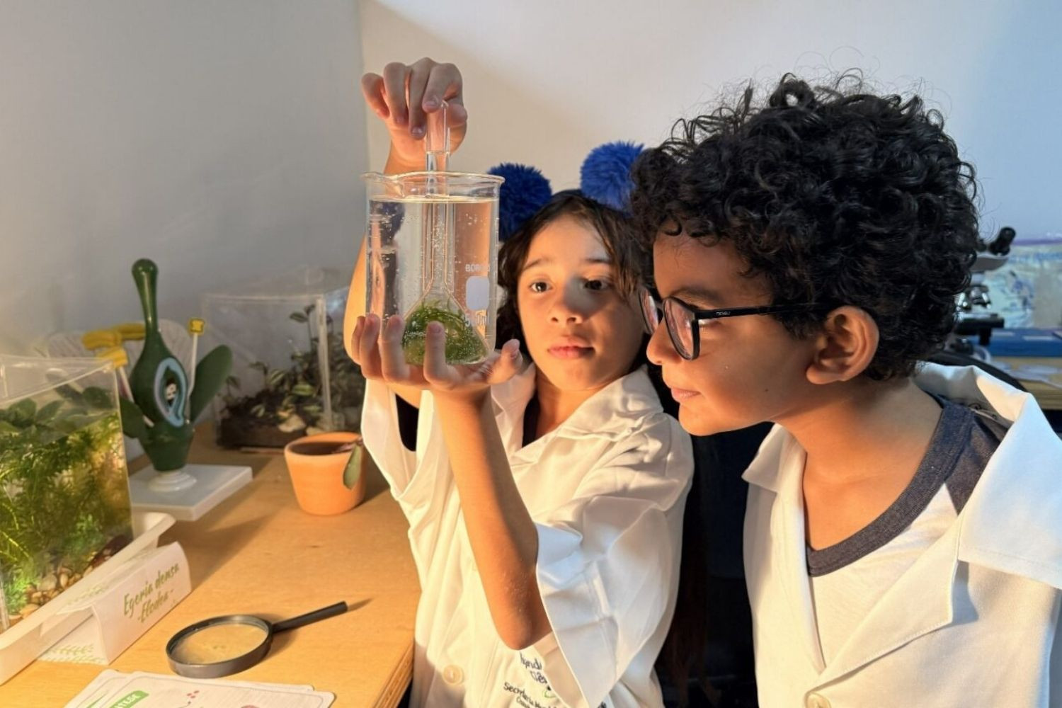  (Foto: Carlos Grevi)