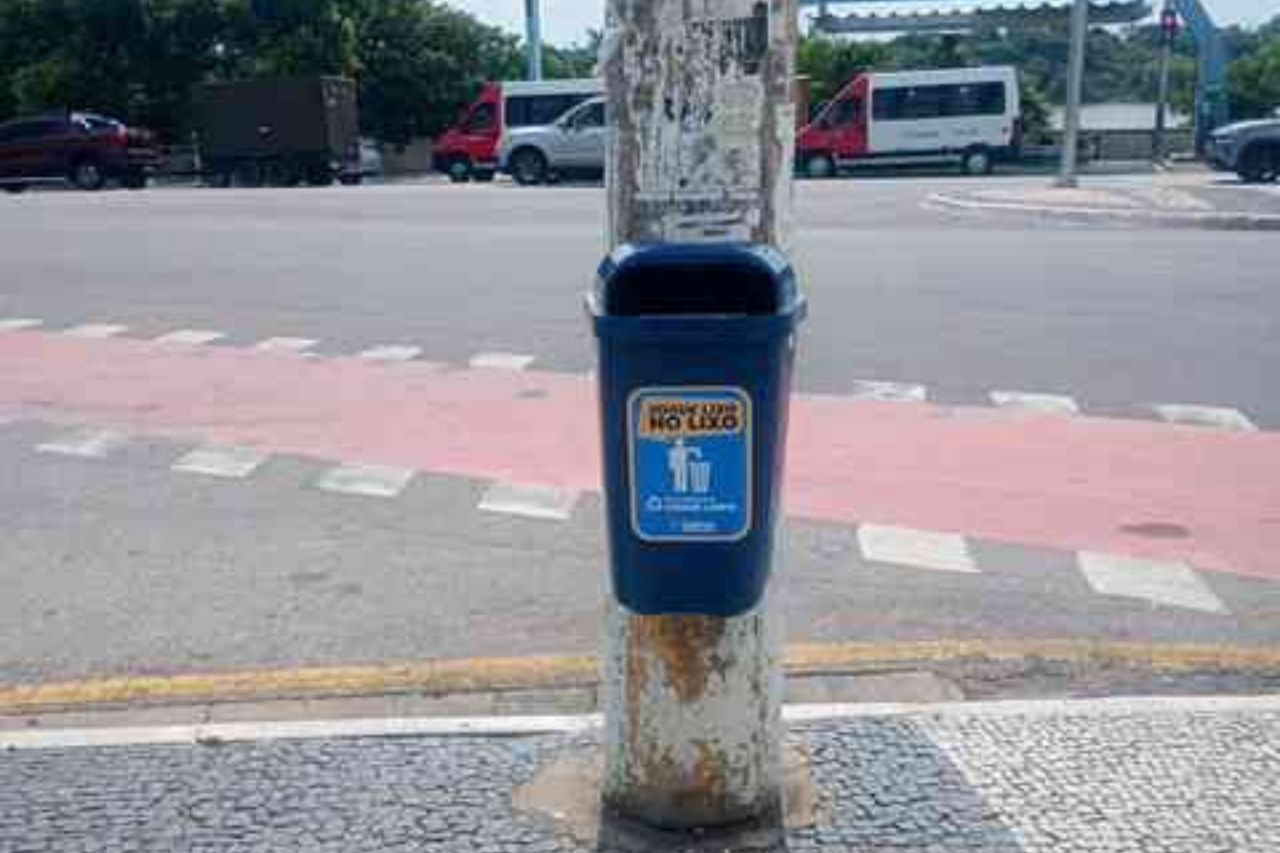  (Foto: Superintendência de Limpeza Pública / Divulgação)