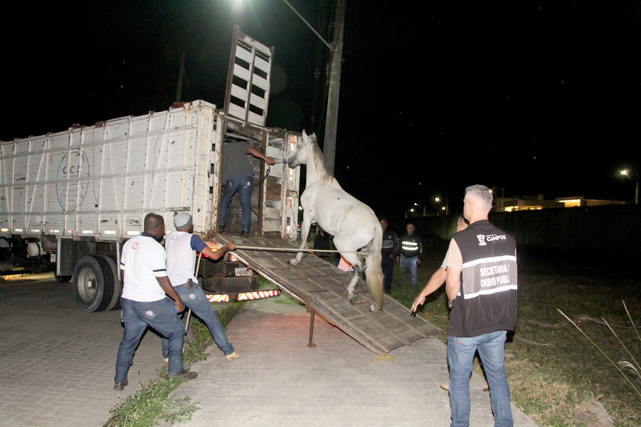  (Foto: Roberto Joia)