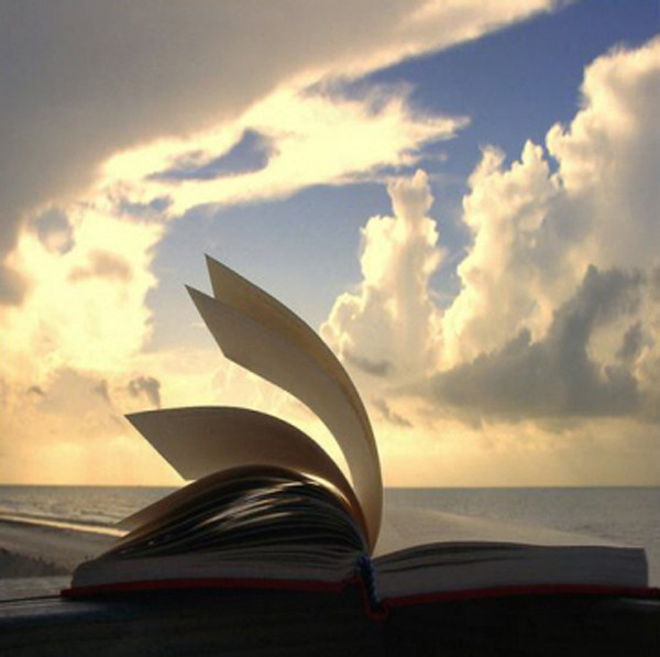 Os concursos literários da Fundação Cultural Jornalista Oswaldo Lima, promovidos pelo departamento de Literatura, receberam inscrições de várias partes do Brasil. (Foto: Divulgação)
